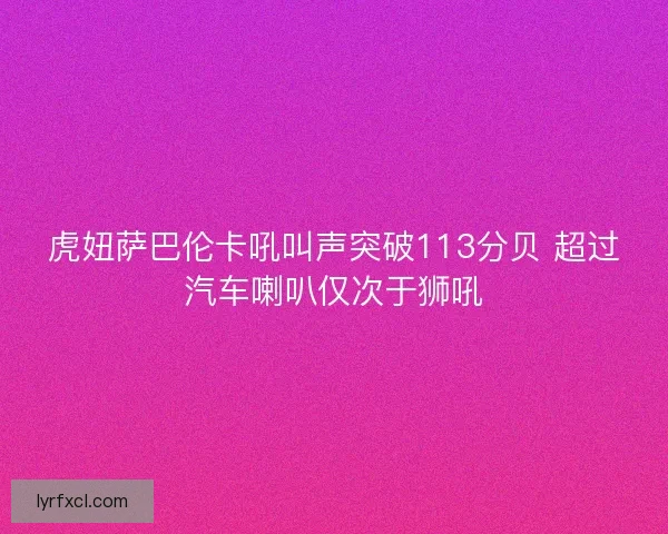 虎妞萨巴伦卡吼叫声突破113分贝 超过汽车喇叭仅次于狮吼